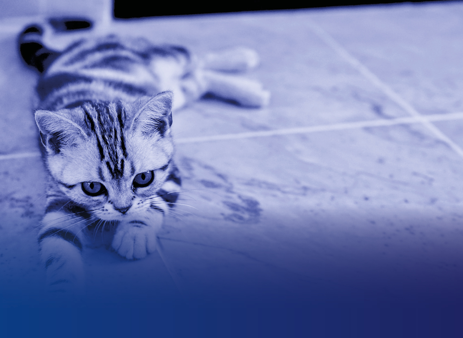 The Best Way To Clean Tile Grout